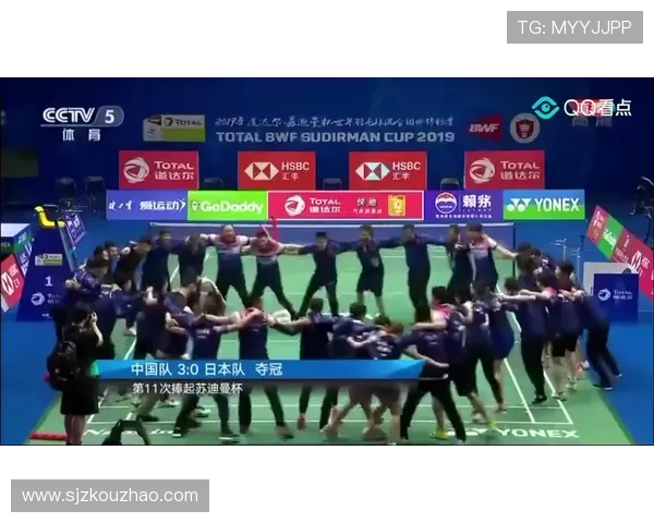 深圳羽毛球队在洲际杯中的团队协作表现分析与点评