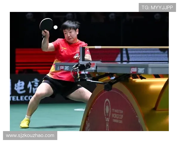 世界杯特别报道：武汉乒乓球队的转型之路