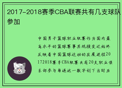 2017-2018赛季CBA联赛共有几支球队参加